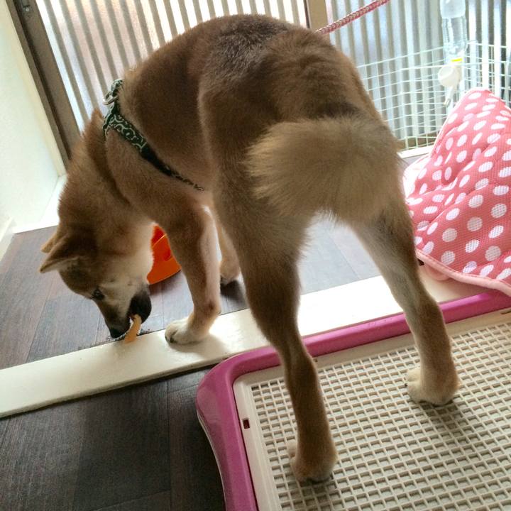 66279a41 2ed3 4153 b104 b79d41af6516