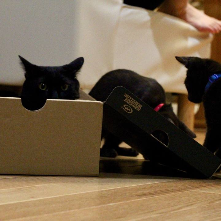 6627d498 97b7 4141 8f3d c669109fa3d1