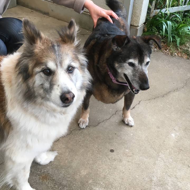 6627e6dc d299 4ab2 9cd6 44953ec67489