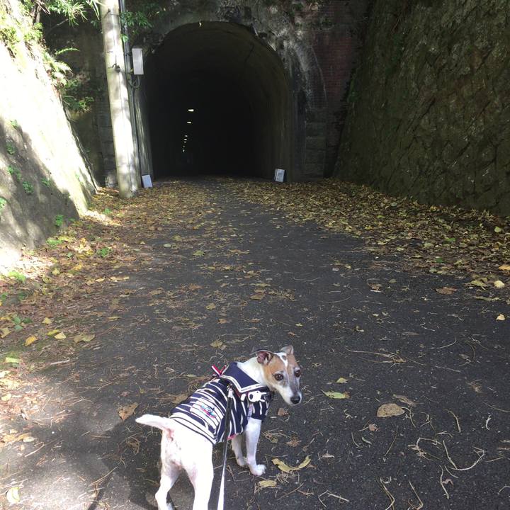 66280895 e726 4190 bb20 fd3c6f61ccff