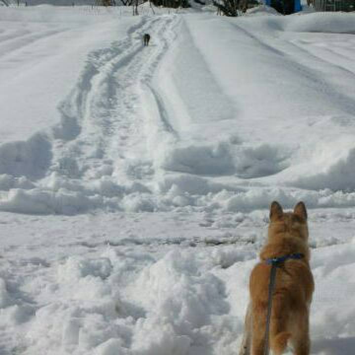 6629c303 c3f1 4b84 a0ed 365ac3041a7a