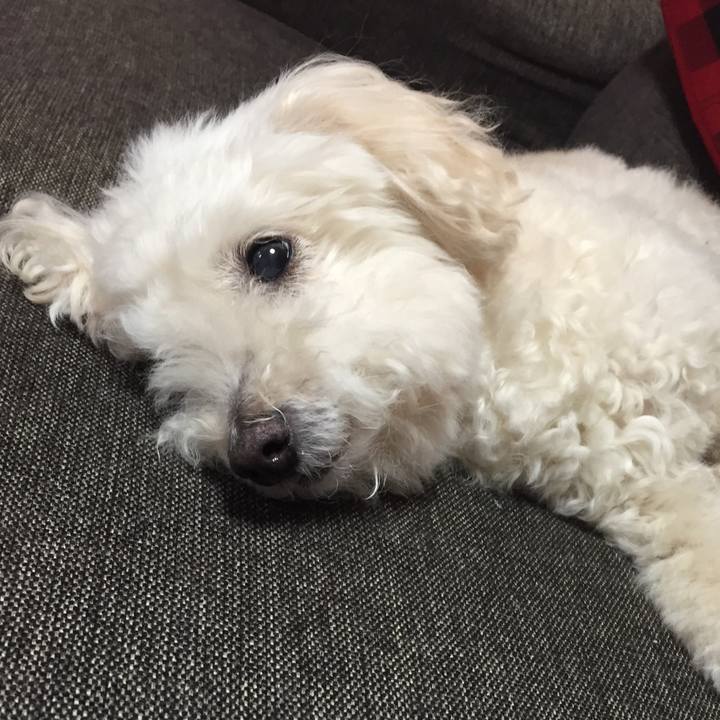 662a8753 ea51 4ef7 bd1c 2155bf27e5bd