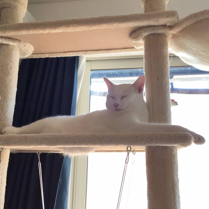 662b0673 3f2d 4ad5 a295 bc0fc67171b1