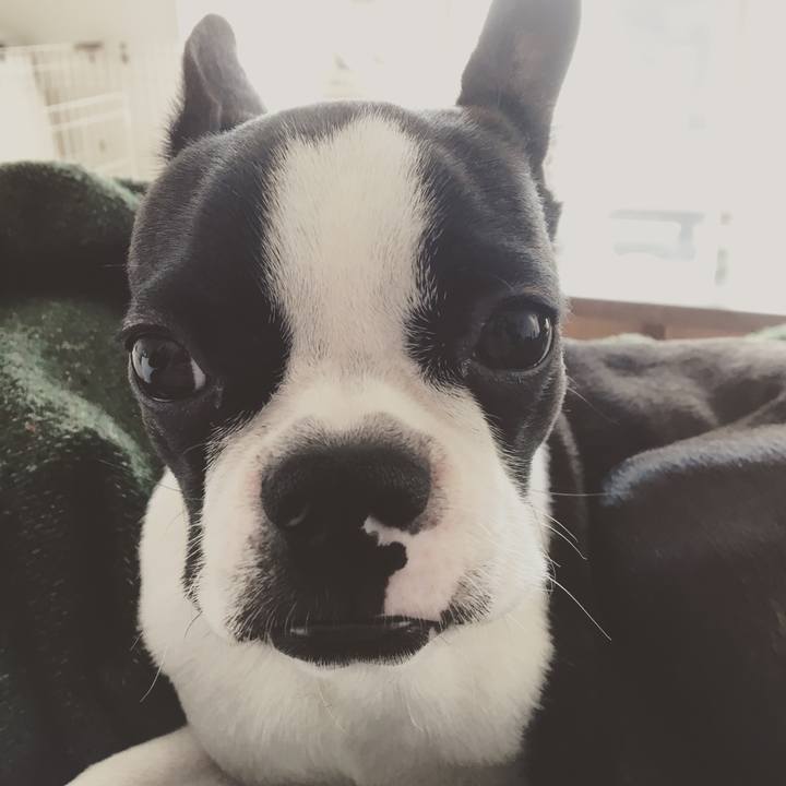 662ba812 b81f 4132 a38b 578e973d53e8