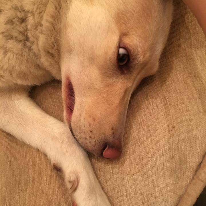 662c23eb e756 4d6b 8b68 1d87cb03e9d4