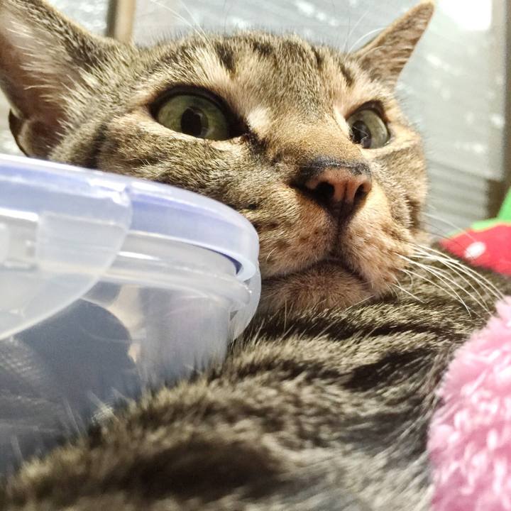 662cb407 90df 4a97 ba82 abc37f48a12b