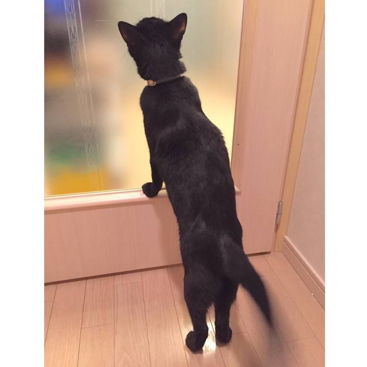 662cbdb9 a753 4458 84ac 54bcf228ae67