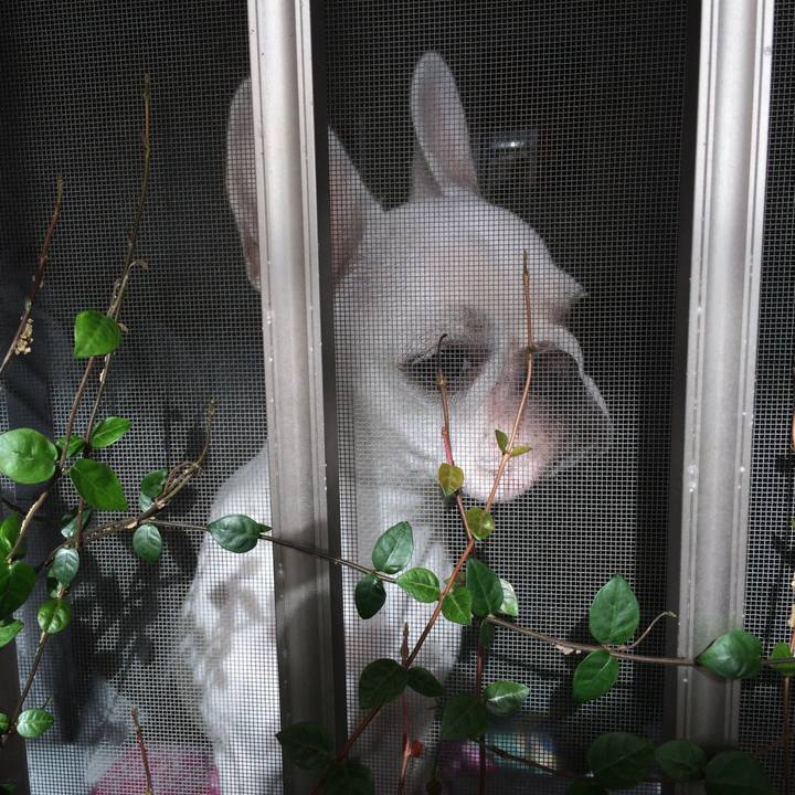 662ccdba 98dd 4ea0 9c5b d8ea9afeaa84