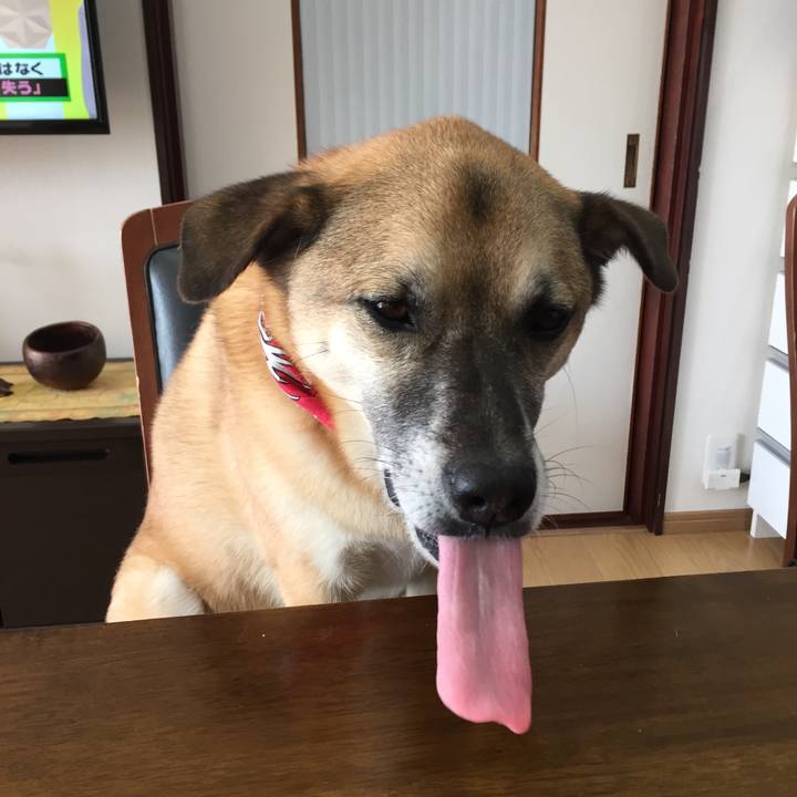 662d0f50 0835 4cc3 86da 4ce756a1aced