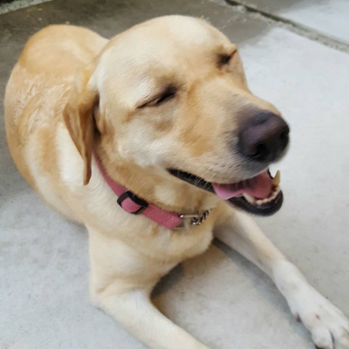 662d1e0d 97a1 488e ba99 3e04b462f986