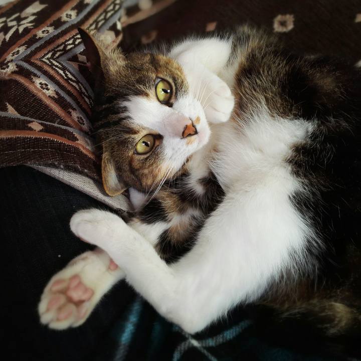 662d81a0 d92b 4e48 bcc9 d477acec66c2