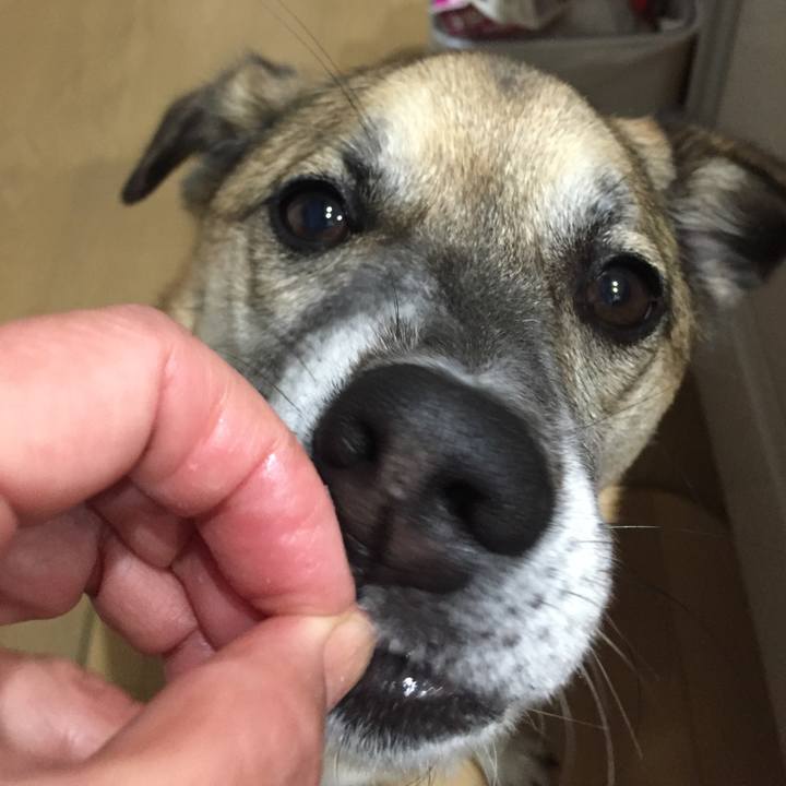 662e2fb9 842c 43a1 ada6 714a999d673c