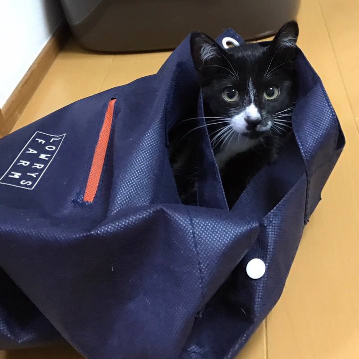 662e35cf b668 4c33 a2e3 121b5f6b1e1e