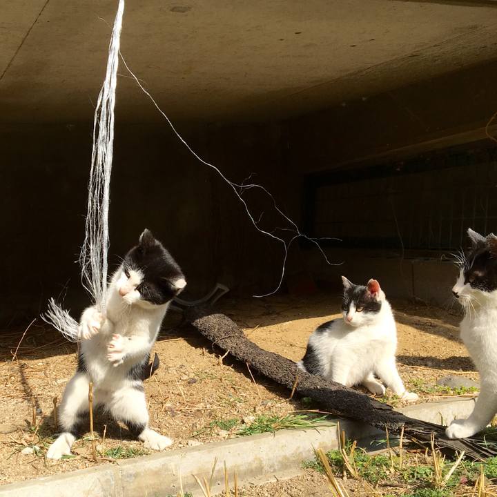 662e3f0e c3fb 4c69 8c2f 4e0b5ba40160