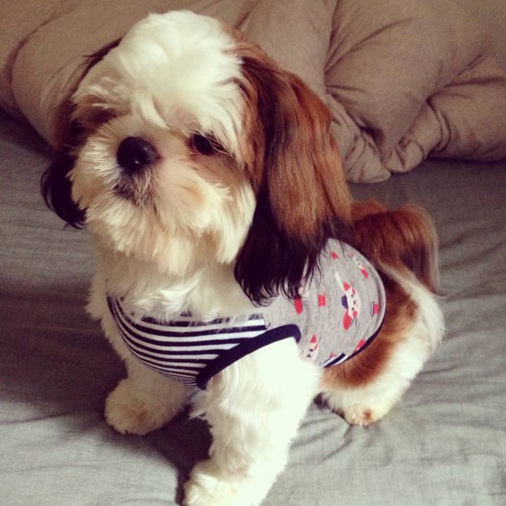 662e6569 c2ea 40cc a840 75b3f5411b3f