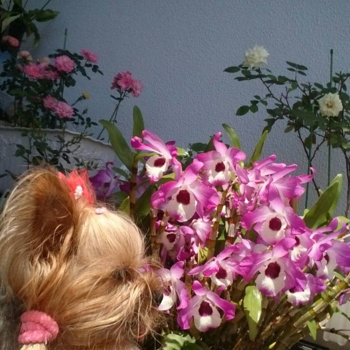 662ecb23 8fa2 462c 9ac4 ea5df4503c54