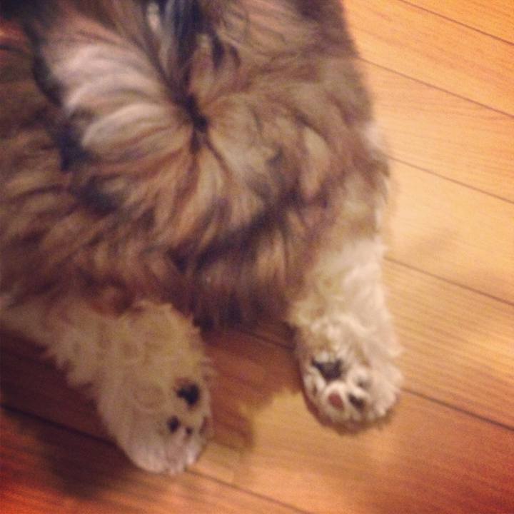 662ecb93 fd07 4f22 800b 4c9dd12287be