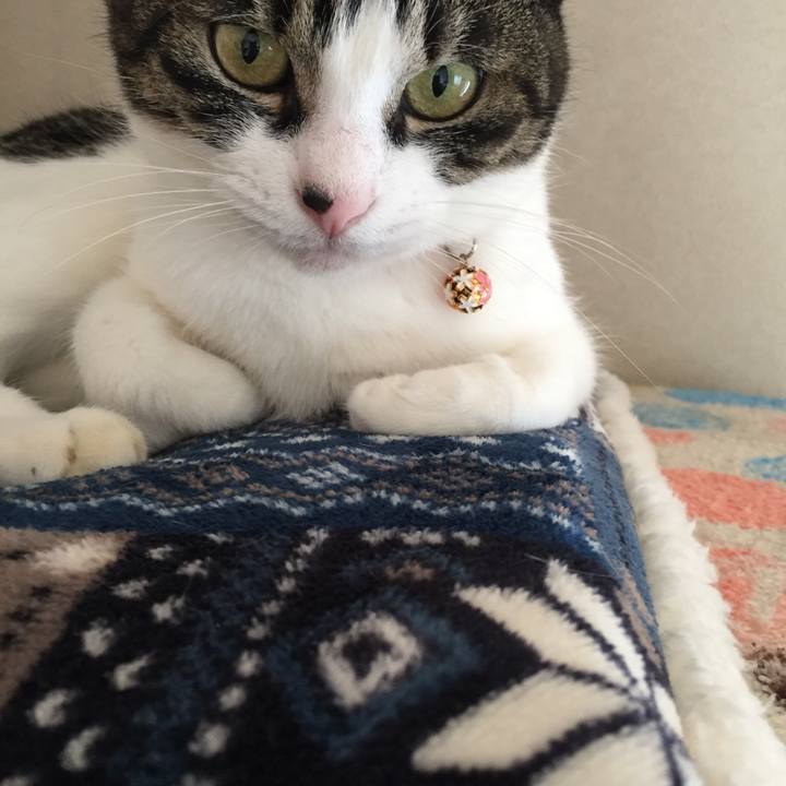 662f1a71 2cca 4cd3 848b 2ed900575a8e