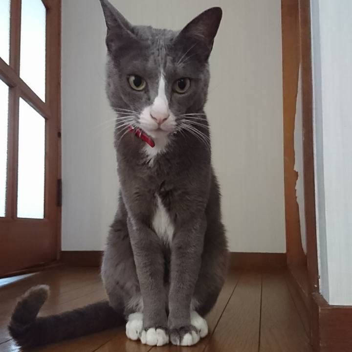 662f22e8 000d 49c2 ac3e bbd99843e425