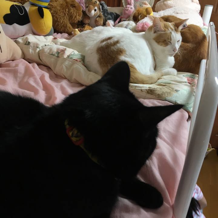 662fc9c3 1b83 4d3f 8d32 99cc2c938c12