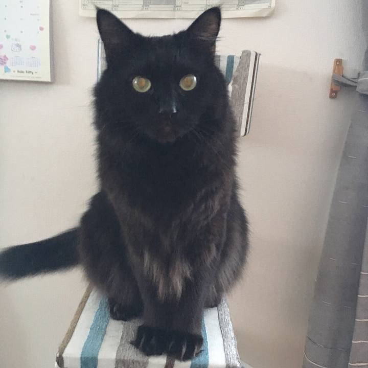 662fd217 78d6 4a5b 95c8 a0ce00d93df6