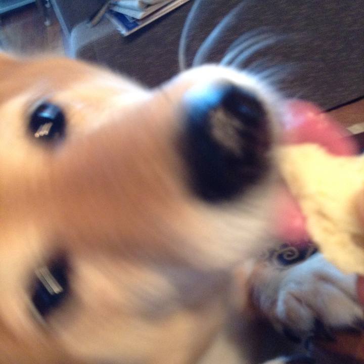 66300134 f30b 4769 9f81 5fbb3c2ba3bc