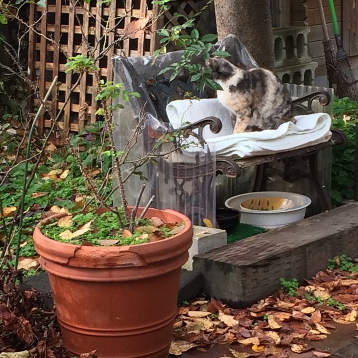 66304b65 05df 4cf4 a944 e91146fb1e04