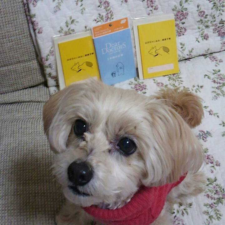 66311e97 9dd3 4710 b1aa d8c793f59457