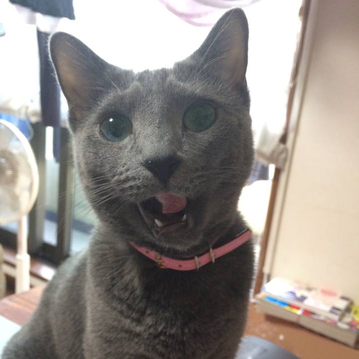 6631b484 5519 4a90 986d 44a7c62eca2d