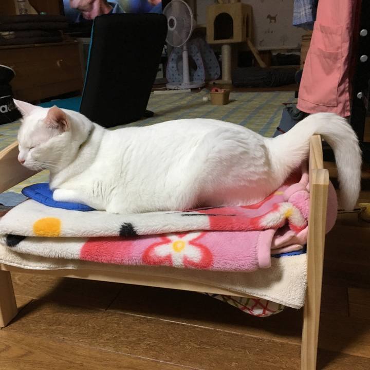 66321336 ea29 44b6 9e80 a04048501d20