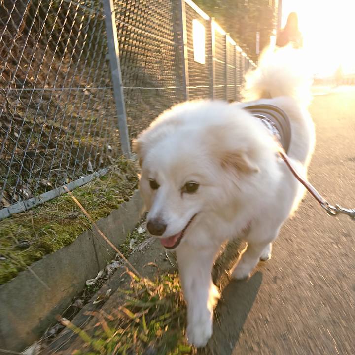 663241b4 3b0f 4e36 a75f 48df32ba14b5