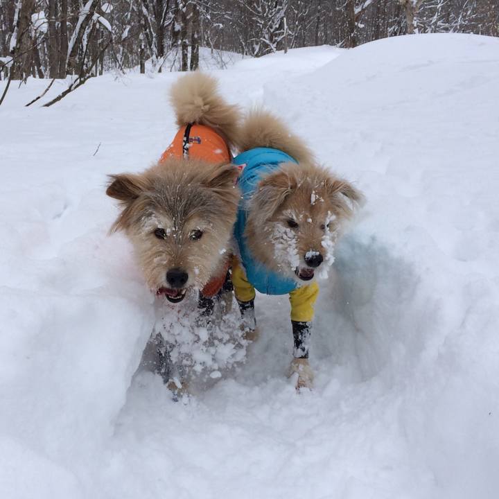 66327026 2c60 42c7 b5f8 7aff252f4151