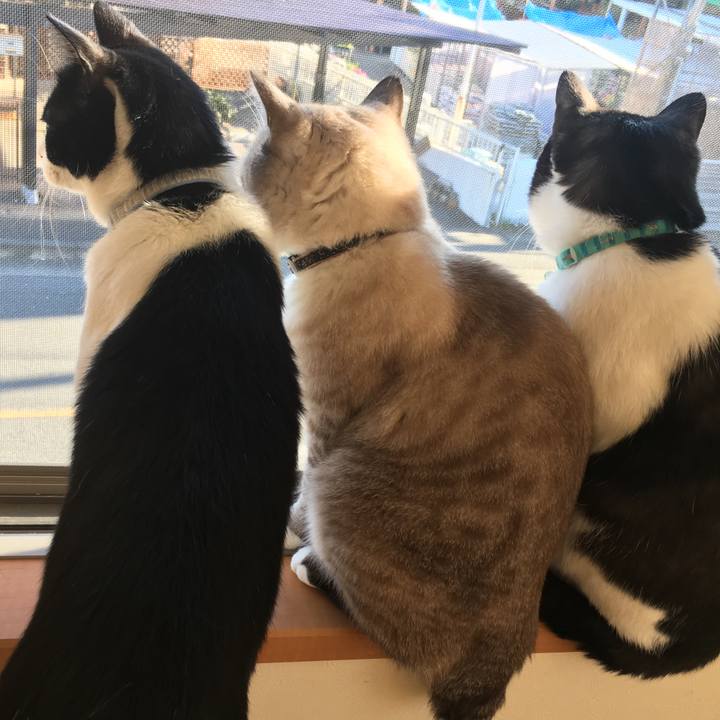 663291a4 1c7d 4e5d a0b3 86c8f4c3464d