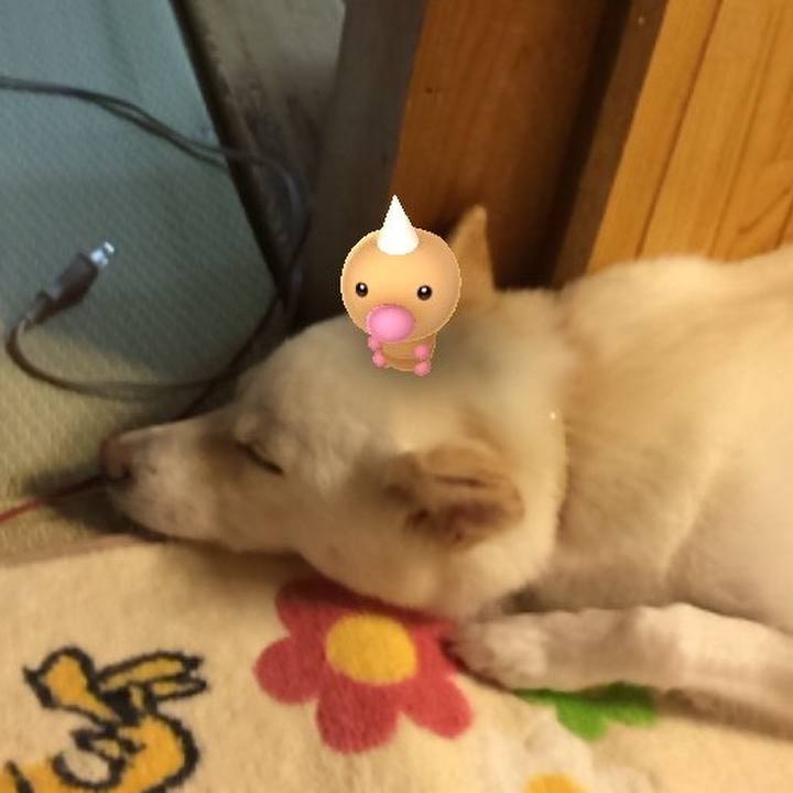 6632caf2 be65 4baf 8c33 079396ca51e2