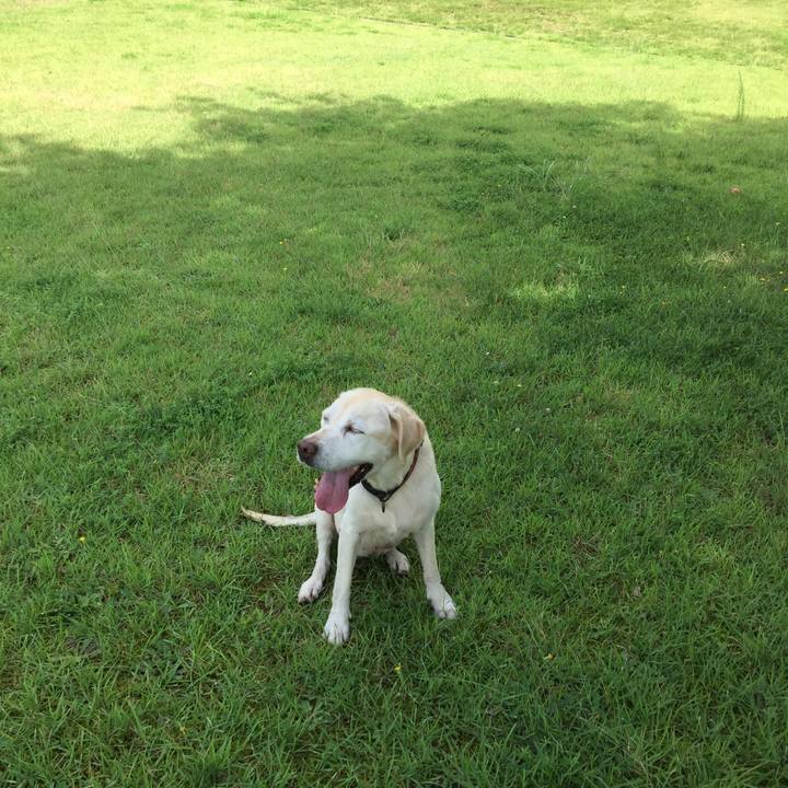 6632f52f 97c3 4e73 9698 9df1aa19fc6e