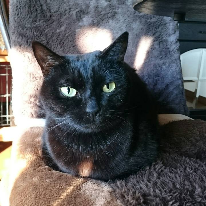 66332ebc 5c75 4c54 a250 11c9e85d7385