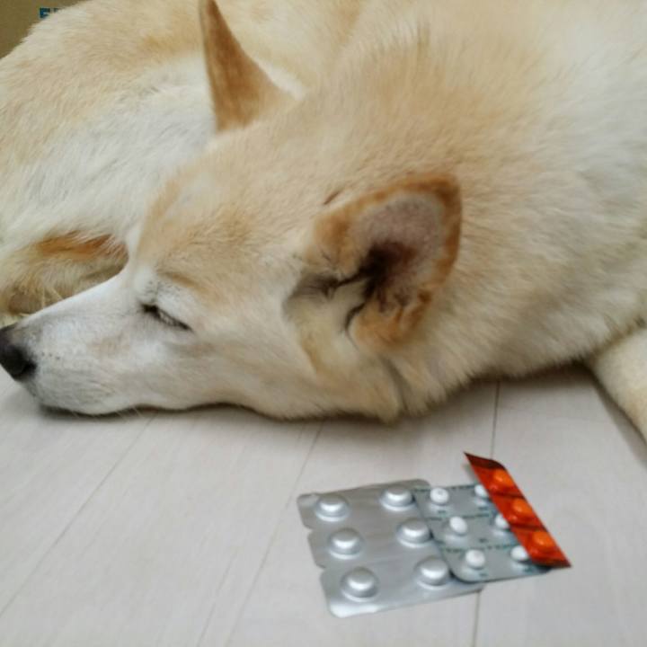 663336db 4e4e 42ac 805e f248e19fb68b