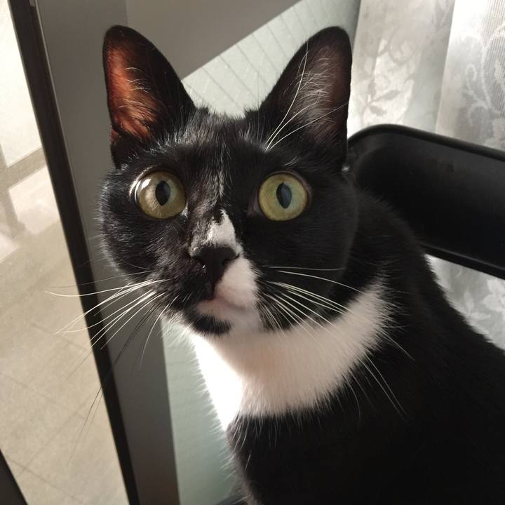 66335ed8 a093 41a8 8f6f 0b28957aae29