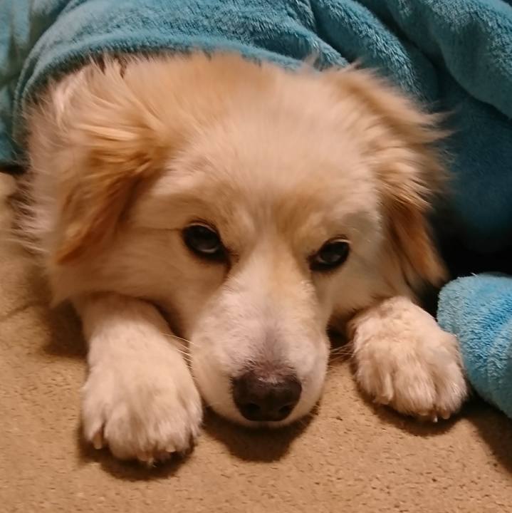 6633667b 0ee5 442c af0c e6a4e3660f20