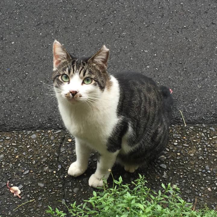 6634162d 0716 4296 9c58 fe43e7cadbd8