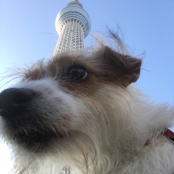 66341bb6 6f8c 4eee 8443 5900a9cd60e3