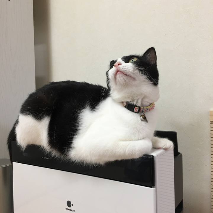 66341f87 0946 4104 9762 0eaf4b7250d7