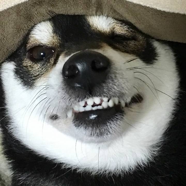 663494fb 5c82 49e5 b646 f5ea8ddf378c