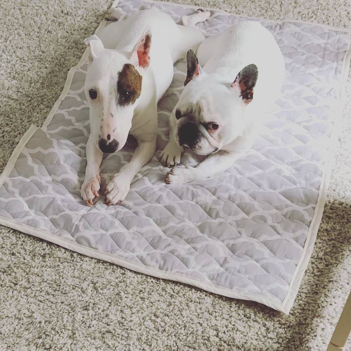 6634f397 6921 44ec a659 1fb5ebd15d9a