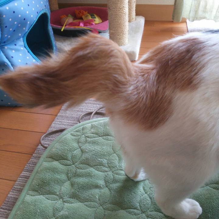 66354bf6 e7cf 47ce b52b 6da6a0d544ee