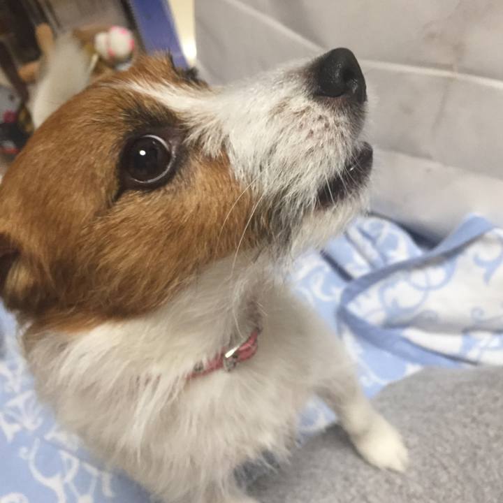 6635e848 bd2a 4c76 bf6e 729d63c33777