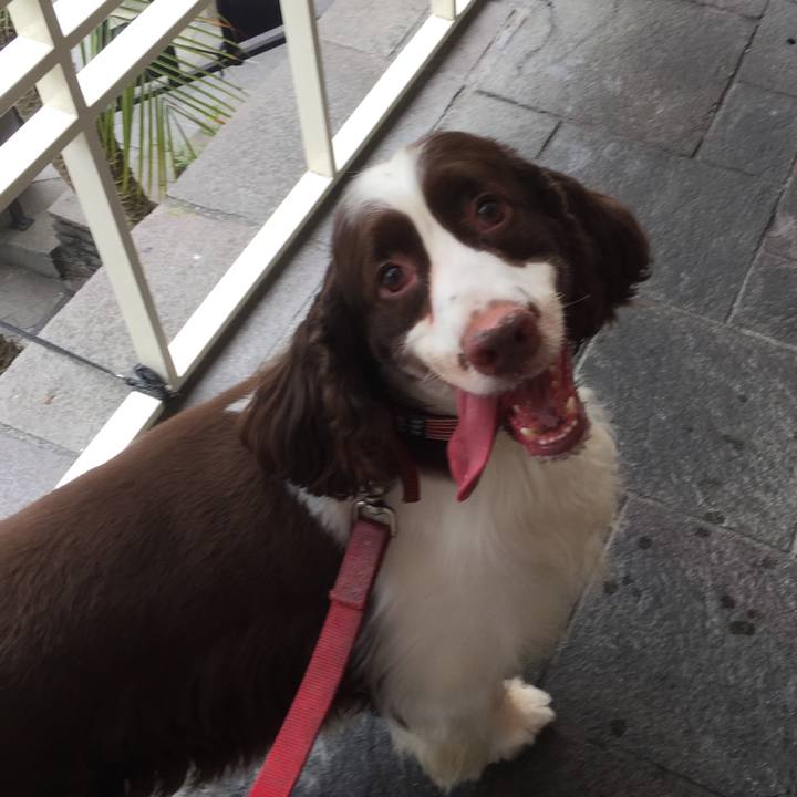 663607a3 9909 4a86 b20f f4c1e1534aee