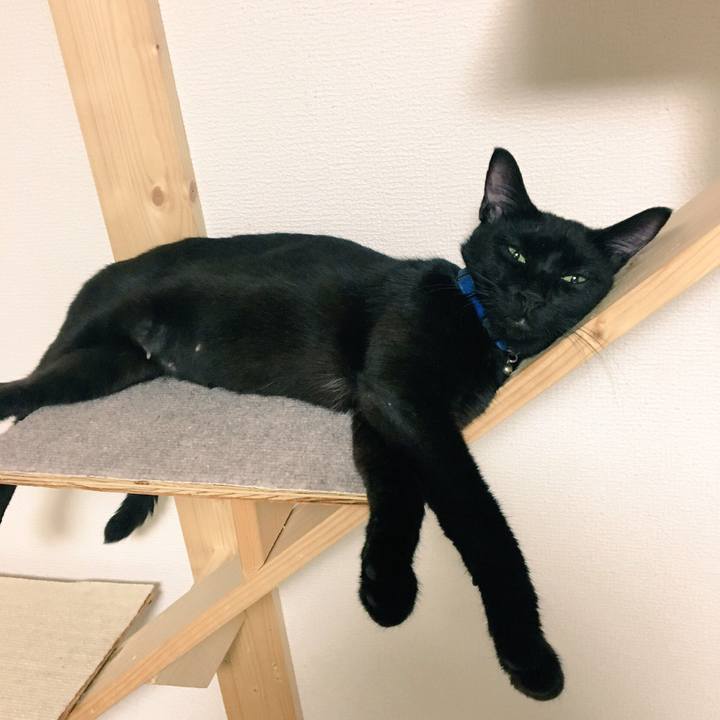 66365e76 0a1e 4767 a6dd eab1ace4f8d6