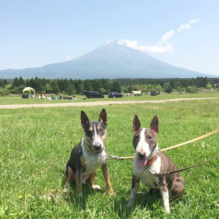 6636a4be e7ef 41a0 9e0c 5648588764b4