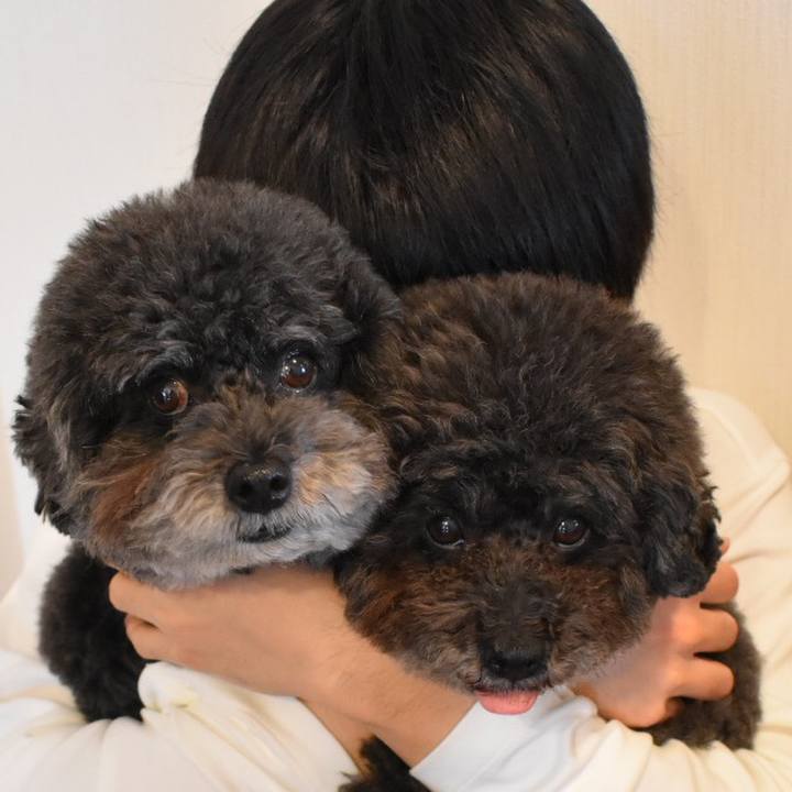 6636a76d 886a 406b ae1f 9bb66e072c7e